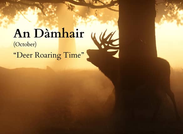 Scotland’s heritage languages hold many hidden messages that reveal insight into the natural world we live in.