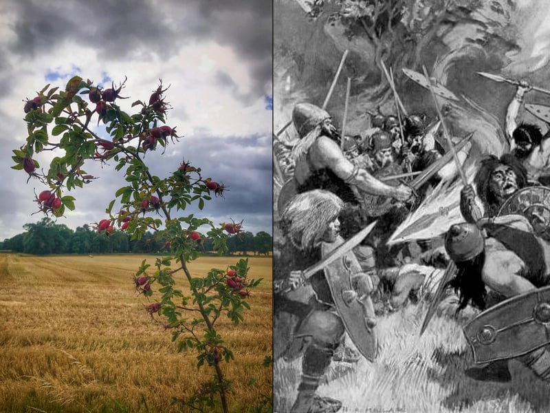 This was the time of year when harvest festivals were in full swing. The name “Lùnastal” is said to be connected to the Celtic God Lùgh who, aside from being known as a skilled warrior, is regarded as a god of the sun and light. This is why many consider him the god of harvests and why he is tied to August as his name comes from the root words for shining bright and it may refer to the long clear days of this month (or the lightning that emerges from the humidity). To this day such festivals like Lammas take place in Scotland at this time.