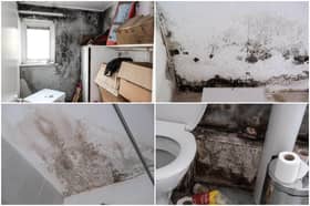 Sheffield mum-of-one Nicole Watts says her council-rent home in Errington Avenue has been overtaken by black mould.