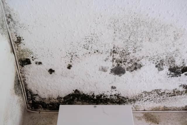 Nicole says she has been waiting two years for the council to help put a stop to the spread of black mould in her Sheffield home.