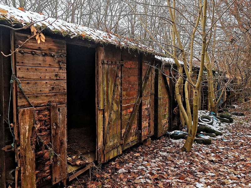 Sheffield's 'Railway Wagon Graveyard' is hidden within dense woodland on the city's outskirts, where the rotting remains of a number of wagon carriages and railway coaches remain. The urban explorer behind Lost Places & Forgotten Faces says it is one of the creepiest places he's ever visited. Photo: Lost Places & Forgotten Faces