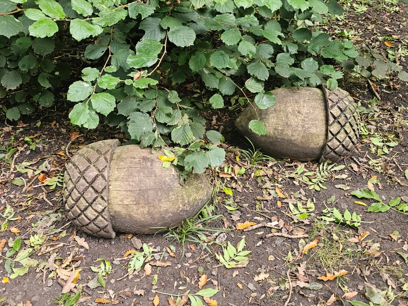 Hidden within Hermitage Wood, the pair of acorns is next to a bush and can be tracked with Google Maps.