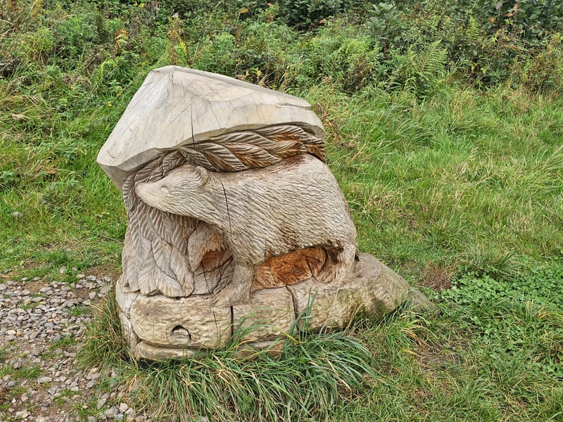 The detailed bear can be found next to the night animals carving by the entrance to Long Wood and Hermitage Wood.