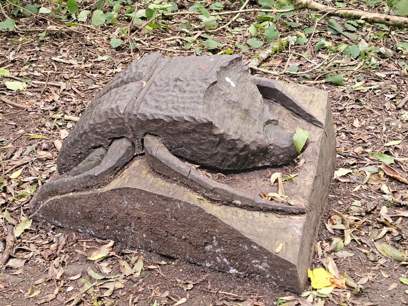 The beetle structure can be easily spotted from the main path, is near Long Down Avenue and can be tracked with Google Maps.