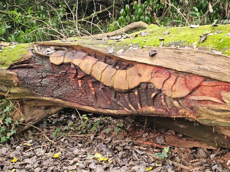 Visitors will need to keep their eyes peeled to spot the centipede carving in Long Wood. The structure can also be tracked using Google Maps.