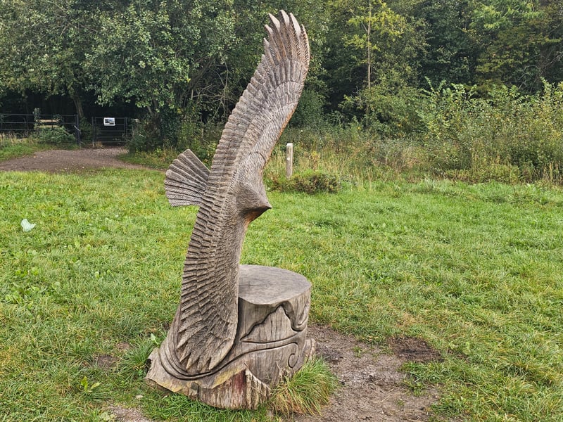 The flying eagle is found near the entrance to Long Wood and can be tracked with Google Maps.