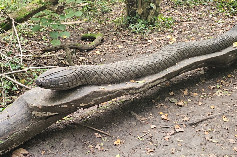 The snake sculpture stands out from the main path in the woods and was designed by The Vench.