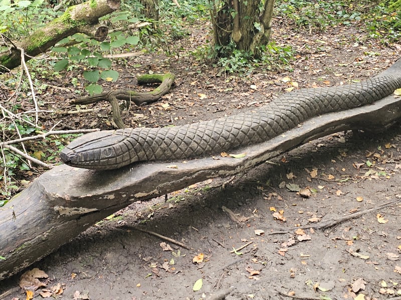The snake sculpture stands out from the main path in the woods and was designed by The Vench.