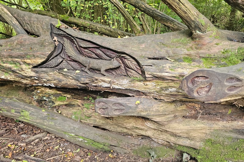 A very subtle squirrel carving, Google Maps will be your friend to help you spot this art piece.