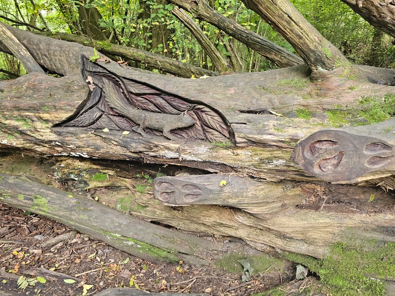A very subtle squirrel carving, Google Maps will be your friend to help you spot this art piece.