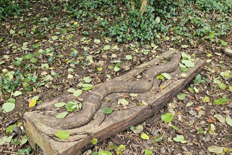 The worm sculpture ‘wiggles’ in the woods and can be tracked with Google Maps.