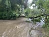 Sheffield weather: Endcliffe Park floods and Millhouses Park closed as rivers overflow