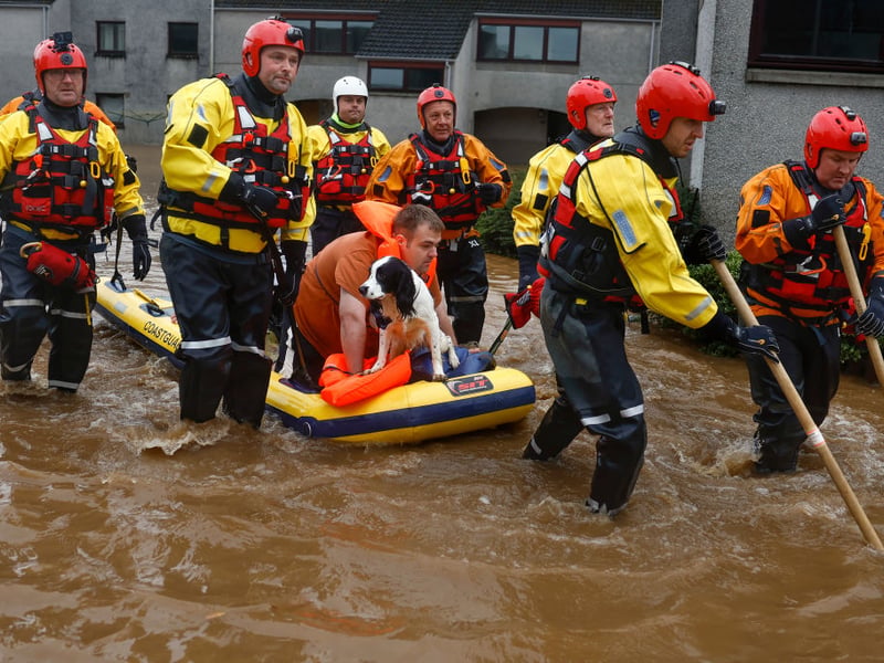 It wasn't only humans that had to engage the services of the coastguard in Brechin - this four-legged friend needed rescuing.