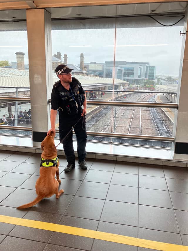 British Transport Police officers worked with drugs dogs at Sheffield Station as part of the operation. (Photo courtesy of South Yorkshire Police)