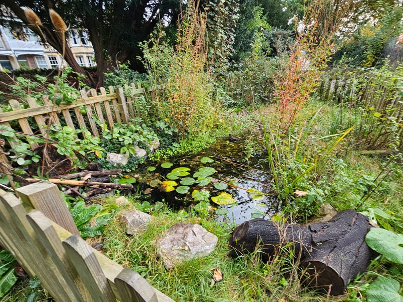 The wildlife pond is located at the top of the park, opposite the northern gate of the bowls club.