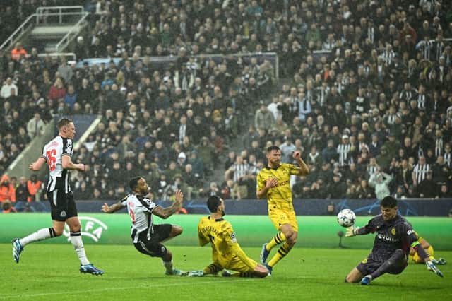Newcastle United player ratings from the 1-0 defeat to Borussia Dortmund.  (Photo by OLI SCARFF/AFP via Getty Images)