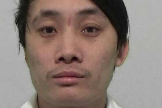 Hoang, 26, of no fixed abode, pleaded guilty to producing cannabis and perverting the course of justice. Judge Julie Clemitson sentenced him to eight months behind bar