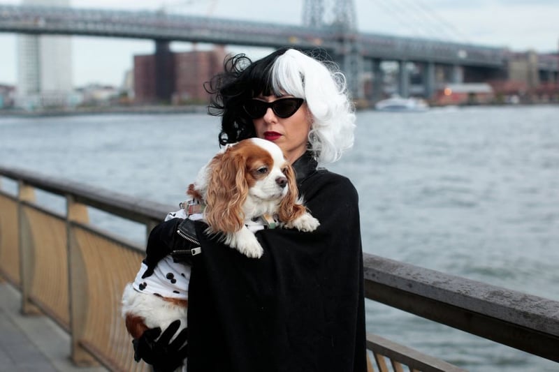 Its hard to knock the iconic look of Cruella and the most recent Emma Stone film has seen it soar in popular once more. Cruella costumes have a search volume of 11,270 per month.