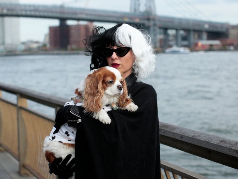 Its hard to knock the iconic look of Cruella and the most recent Emma Stone film has seen it soar in popular once more. Cruella costumes have a search volume of 11,270 per month.