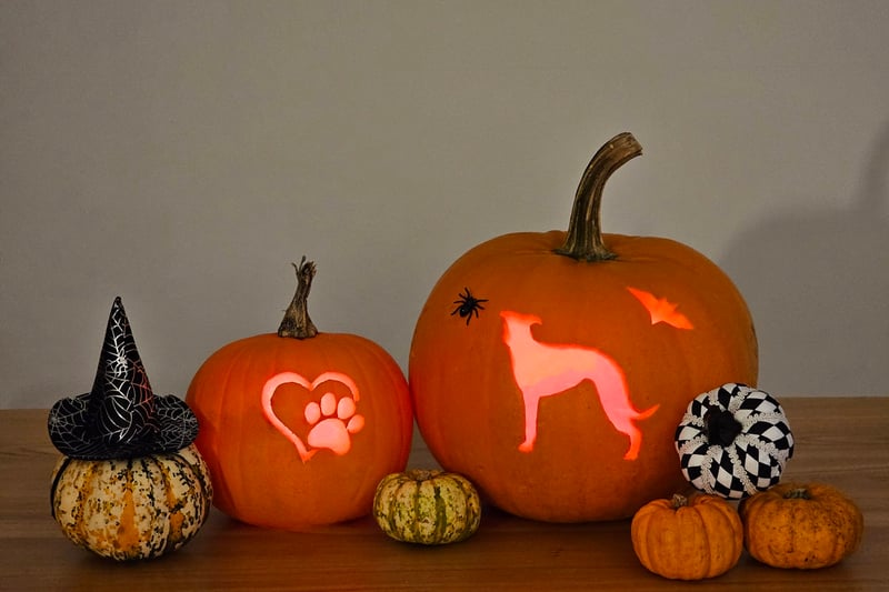 We love these doggy themed pumpkins
Credit: Sarah Jones