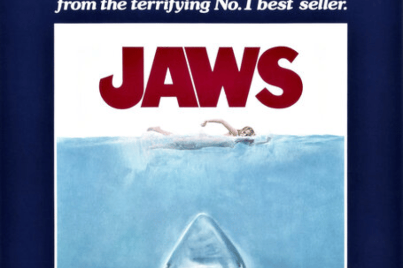 'The terrifying motion picture', the poster from Jaws is up there with one of cinemas all time great posters and narrowly misses out on our top spot. But still incredible.