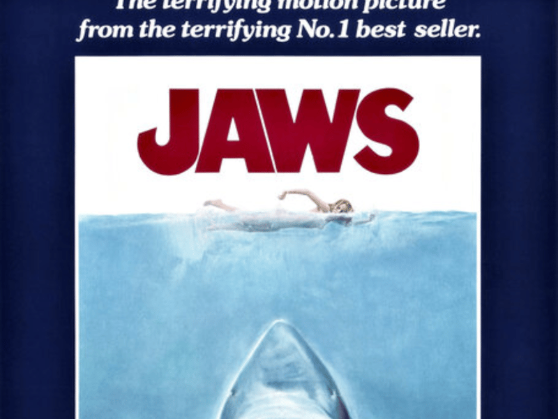 'The terrifying motion picture', the poster from Jaws is up there with one of cinemas all time great posters and narrowly misses out on our top spot. But still incredible.
