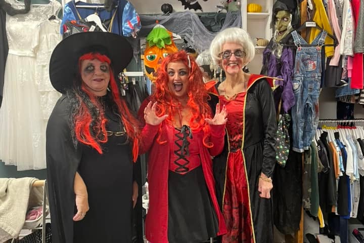 Some of the team at The People's Angels CIC are ready for Halloween
Credit: Lynn Davis