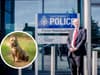 South Yorkshire police commissioner "welcomes” ban details for “dangerous” American XL Bully dogs