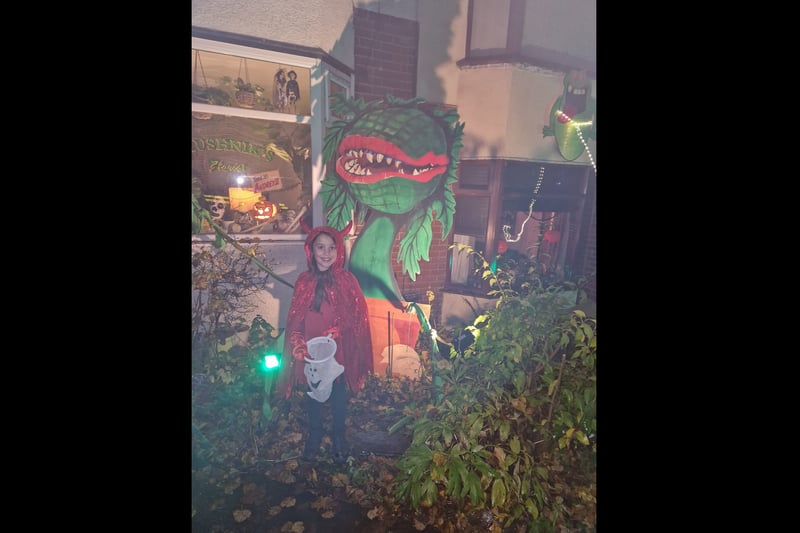 Kathy Harley shared this of Little Red Riding Hood and a top-effort decoration of Audrey II from Little Shop of Horrors.