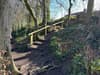 Buyers with 'leisure interests' set to bid for Hagg Wood in Sheffield's greenbelt