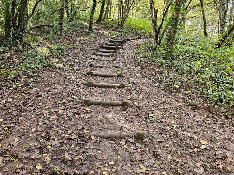Wooden steps can be found scattered through Eastwood Farm as part of some of the walking trails.