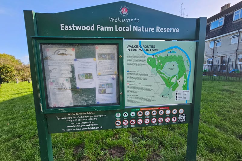 The community board is located near the entrance by Whitmore Avenue. The information board includes a map of the trails available in the nature reserve and information about upcoming events.
