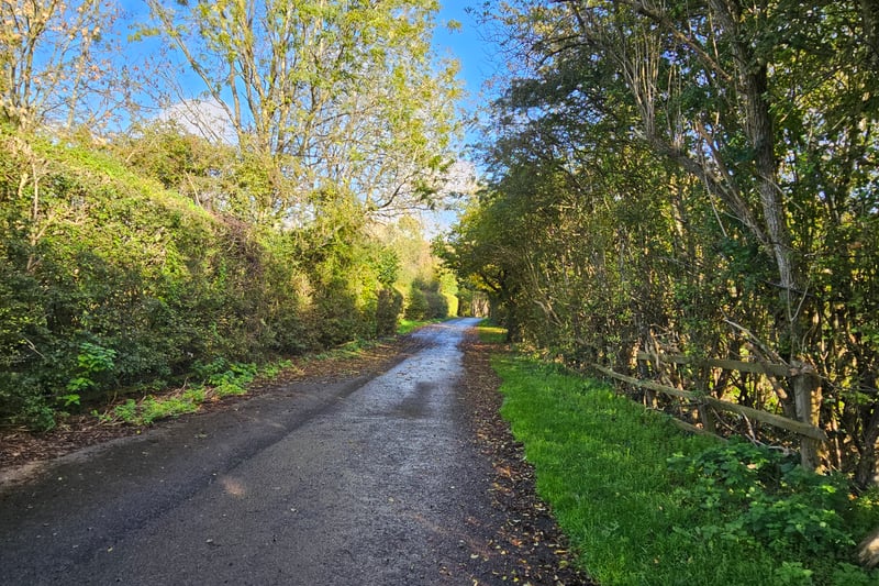 The Old Tip Lane is an accessible 1km return walk taking visitors through a smooth tarmac past meadows and woodland with wildlife in the trees and hedges. This route was used to bring waste materials when it was a tip.