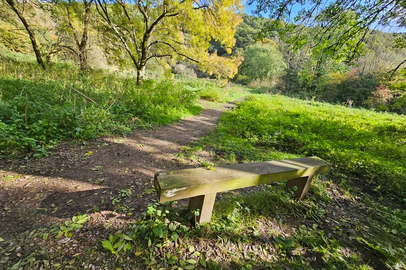 Visitors can enjoy a selection of benches throughout the nature reserve with beautiful views of the River Avon, the greenery and a field of horses.