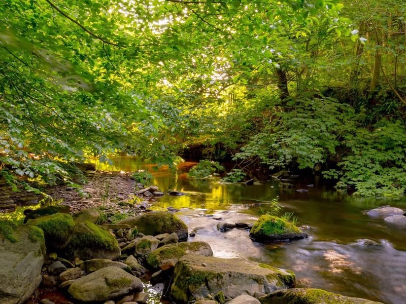 The Water of Leith runs through the grounds of Woodhall House.