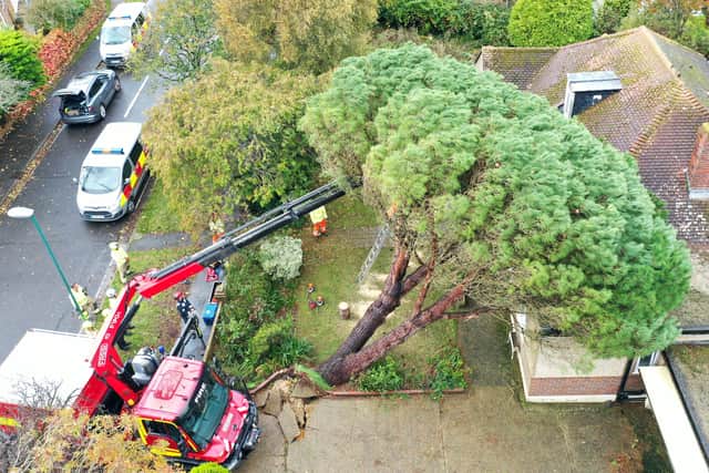 West Sussex Fire and Rescue assist with a tree v house in The Causeway, Bognor Regis
