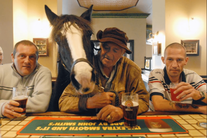 Peggy the horse has a pint in the Alexandra Hotel in Jarrow. Remember this from 2006? (Shields Gazette)
