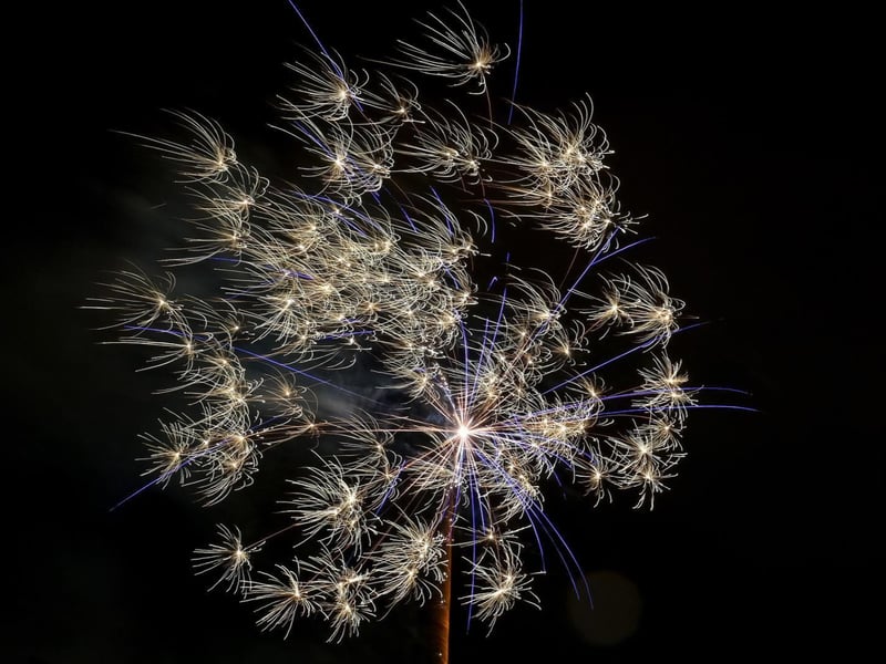 Often promoted as the largest and best fireworks display in the Southside, this annual, ticketed event takes place at the GHA Rugby Football Club, supporting community sport. Gates open at 6:00 PM for the gathering, and the organisers encourage early arrival to ensure the crowds are settled before the spectacular display begins at 7:15 PM. 🗺️ Address: GHA Rugby Football Club, Braidholm Road, Giffnock G46 6EB