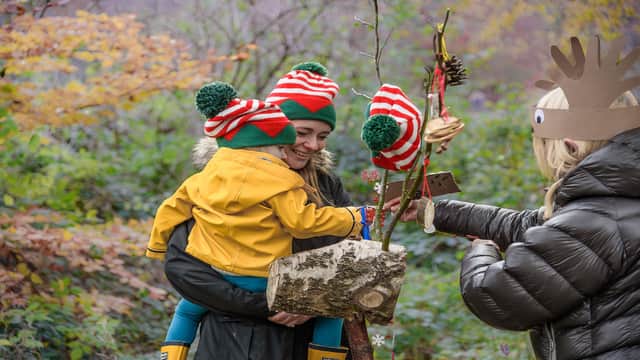 A weekend of festivities are planned to celebrate the launch of this year's Christmas tree sale at Longshaw Estate. Photo: Kev Dunnington