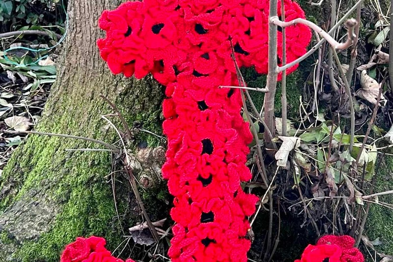 Volunteers have come together to display poppies all around the cemetery to mark Remembrance Day.
Credit: John Stewart