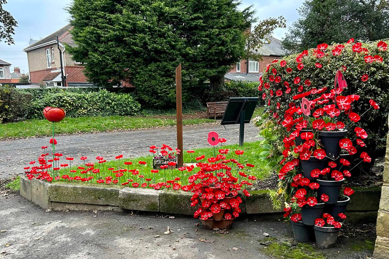Volunteers have come together to display poppies all around the cemetery to mark Remembrance Day.

Credit: John Stewart