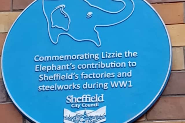 The plaque honouring Lizzie the Elephant which has been unveiled at the Hancock and Lang building on Lady’s Bridge, on the edge of Sheffield city centre, where Lizzie used to be stabled