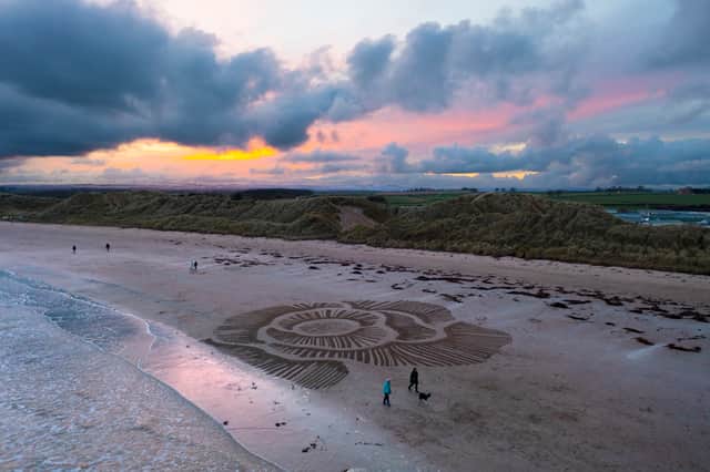 Volunteers carve 90ft poppy onto a beach in Beadnell Bay, Northumberland (credit: Claire Eason; Soul2Sand / SWNS)