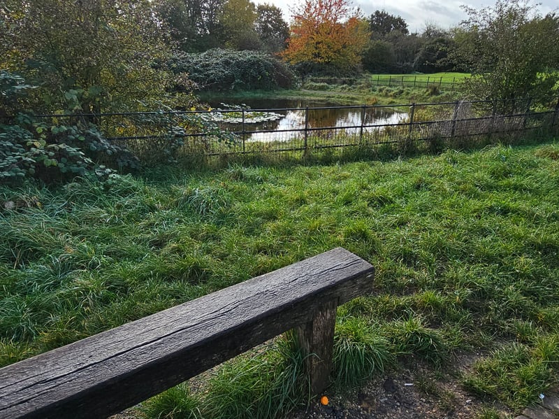 We only came across one bench throughout our visit. It was located in the field, near the dew pond, and overlooked the meadow and the dew pond