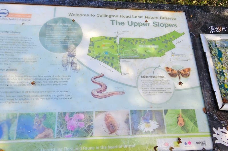 The information board located near the Upper Slopes contains a map and information about the history and wildlife of the area. Another map can be found near the field, by the entrance by Callington Road