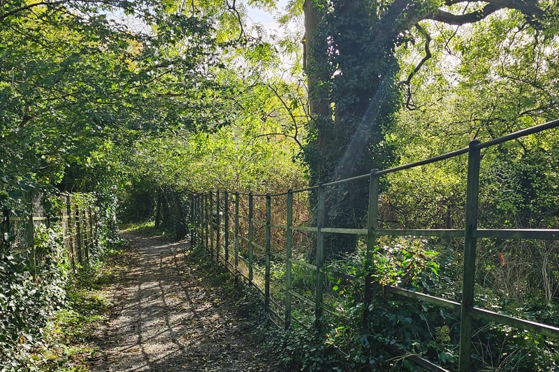 This entrance has steps to go into the nature reserve, making it inaccessible for wheelchair users. If you are travelling from the city centre, this entrance is also around a 10-minute walk from the 73 bus stop, a seven-minute walk from the 2, 23a, 172, 376 bus stop and a 16-minute walk from the 349 and 522 bus stop