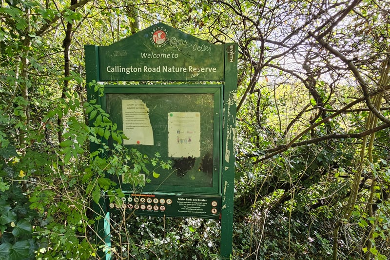 Located near the entrance by Imperial Walk, the community board included information about the events taking place in the nature reserve
