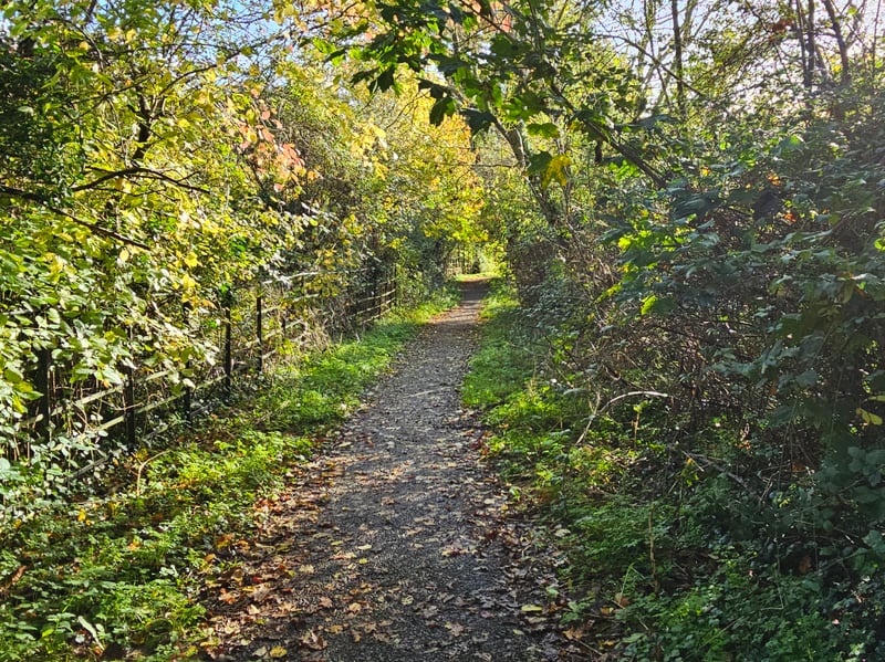 An accessible concrete path runs through the perimeter of the field, passing by the dew pond and as a loop around part of the Upper Slopes. The path can be accessed through the entrance by Callington Road.
