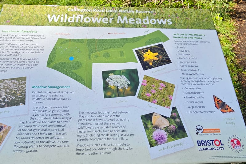 The Wildflower Meadows information board near the Upper Slopes highlights the importance of these meadows and also gives information about the butterfly and moth species spotted in the area
