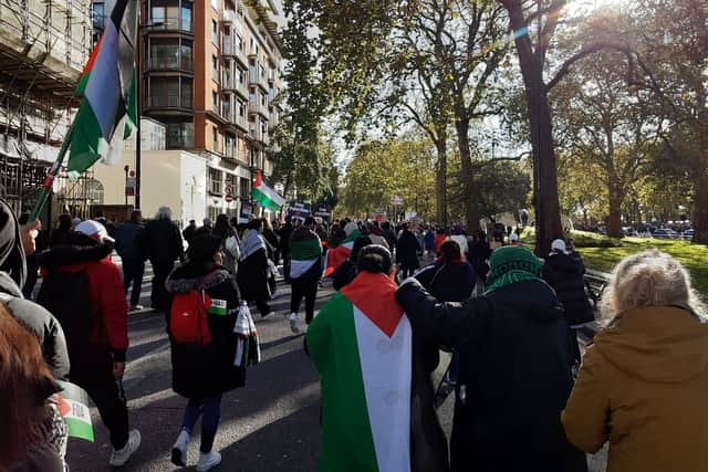 Armistice Day pro-Palestine march: Thousands of people gathered ahead of the march, a sea of black, white, red and green flags.